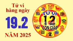 Tử vi hôm nay, xem tử vi 12 con giáp hôm nay ngày 19/2/2025: Tuổi Tỵ gia đạo an yên